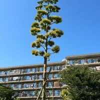 ブログ画像