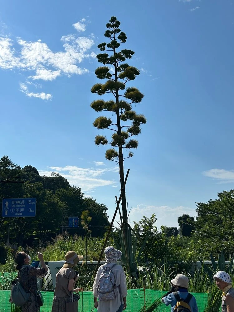 ブログ画像